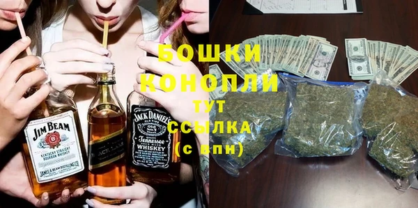 spice Михайлов
