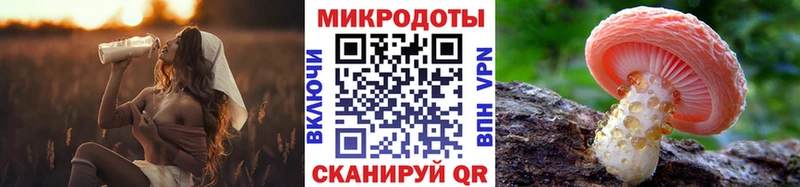 Галлюциногенные грибы мухоморы  Нерехта 